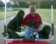 john jordan with dogs in golf cart